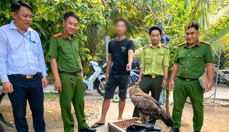 Vĩnh Long: Thanh niên nuôi nhốt đại bàng đầu hung bị phạt 7 , 5 triệu đồng - Ảnh 1.