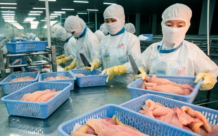 Hiệp định thương mại đối ứng với Mỹ - không chỉ là câu chuyện thuế - Ảnh 2.