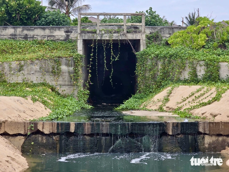 Dòng nước đen ngòm, bốc mùi từ cống thoát nước mưa chảy thẳng ra bãi biển Tuy Hòa - Ảnh 4.