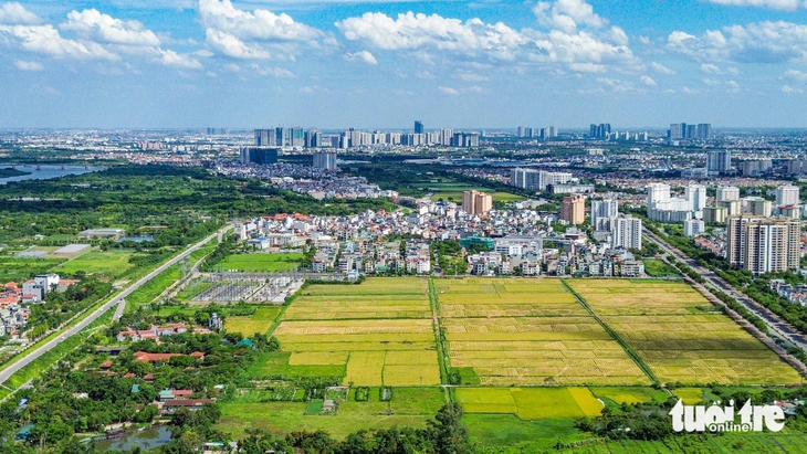 Nghiên cứu tăng mức đặt cọc đấu giá đất tối thiểu là 20% - Ảnh 1.