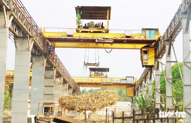 Đắk Lắk lo vùng trồng mía lớn mất lợi thế vì đường nhập lậu - Ảnh 5.