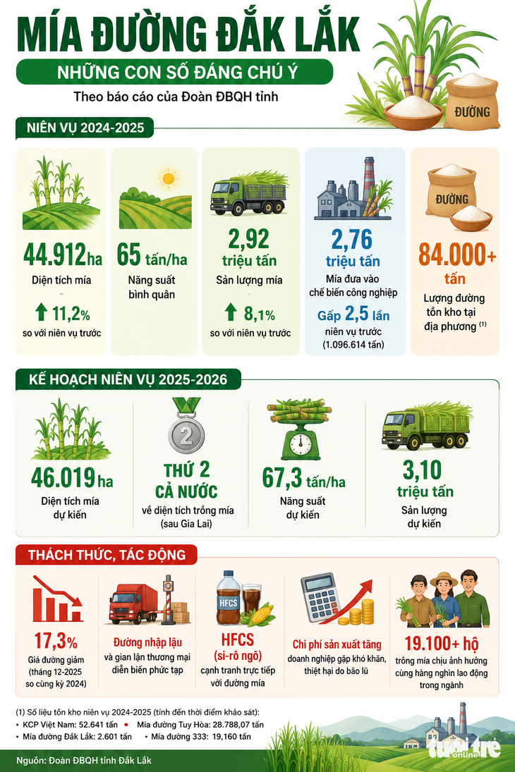 Đắk Lắk lo vùng trồng mía lớn mất lợi thế vì đường nhập lậu - Ảnh 1.