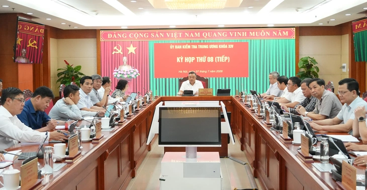 Ủy ban Kiểm tra - Ảnh 1.