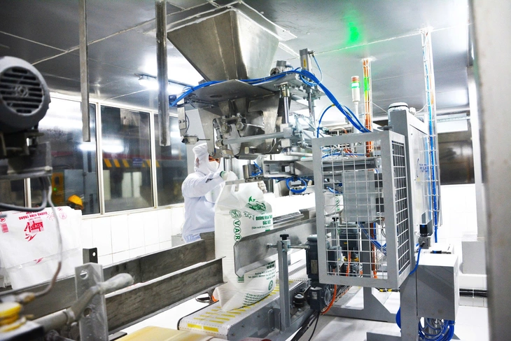 Đắk Lắk lo vùng trồng mía lớn mất lợi thế vì đường nhập lậu - Ảnh 6.