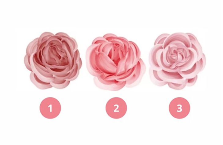 Quiz: Bạn sở hữu tinh thần chiến thắng mạnh mẽ? - Ảnh 1.