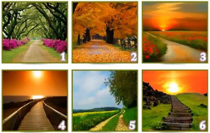 Quiz: Bạn là người thế nào? - Ảnh 1.