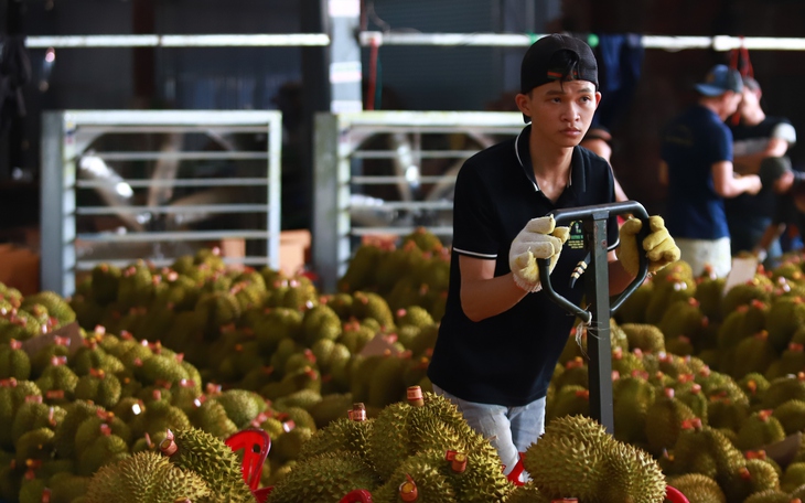 Tràn lan 'tiệc sầu riêng' ở Malaysia vì được mùa nhưng mất giá - Ảnh 2.