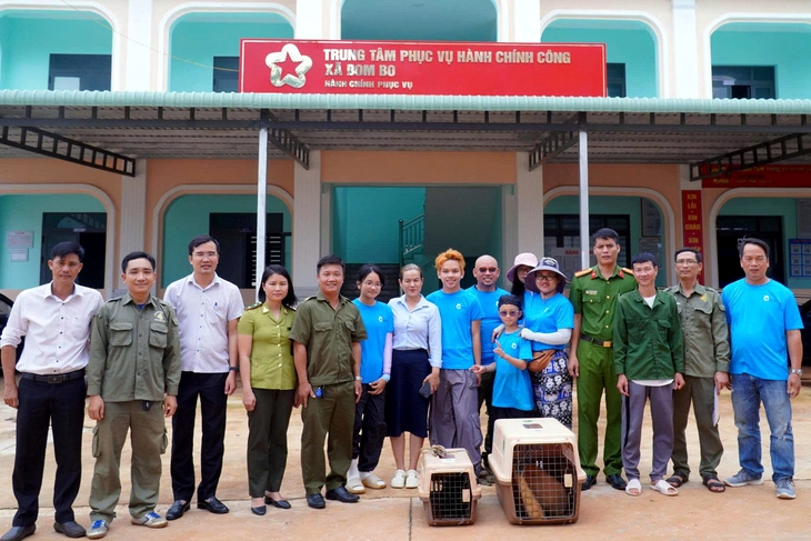 Phát hiện vượn má vàng quý hiếm trong vườn cây ăn trái nhà dân ở Đồng Nai - Ảnh 1.