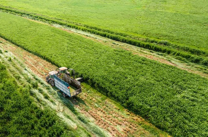 Sữa tươi Vinamilk 100% ‘chiều lòng’ người dùng ra sao? - Ảnh 4.