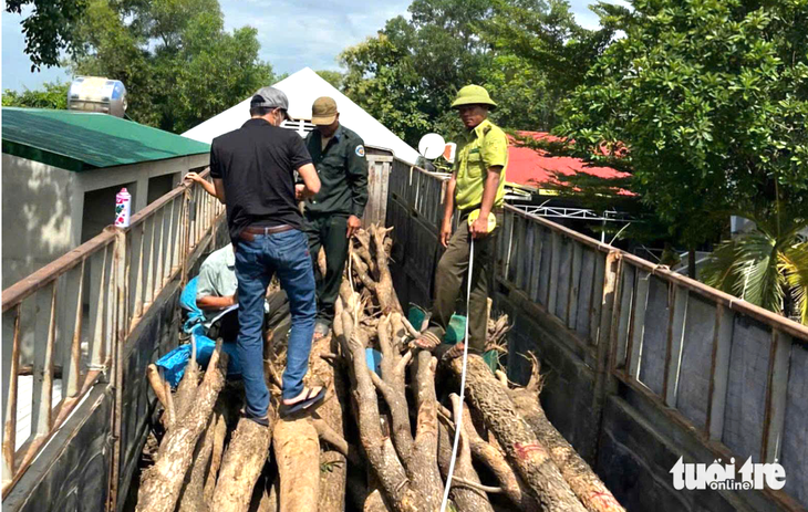 Hơn 52.000ha đất rừng biên giới Đắk Lắk chờ phương án sử dụng - Ảnh 2.