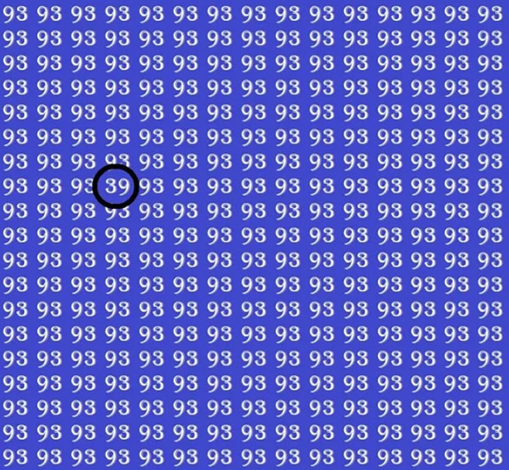 Mắt 10/10 mới thấy con ếch chỗ nào? - Ảnh 1.