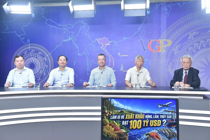 Chuyên gia, hiệp hội nói gì về mục tiêu xuất khẩu nông lâm thủy sản đạt 100 tỉ USD vào năm 2027? - Ảnh 1.