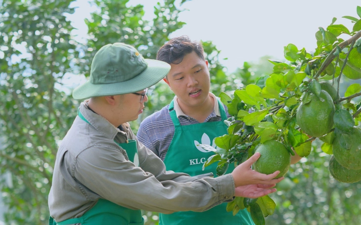 Thanh niên 'bắt tay' với AI giải bài toán nông nghiệp bền vững - Ảnh 4.