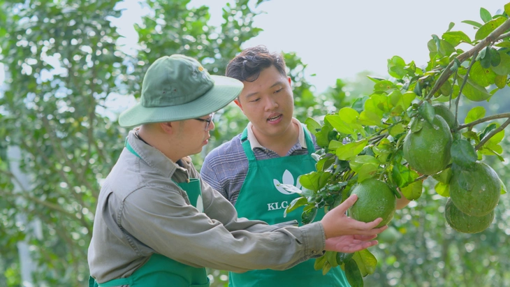 Nông nghiệp Việt Nam: Muốn vươn toàn cầu phải làm lớn ngay từ đầu - Ảnh 1.