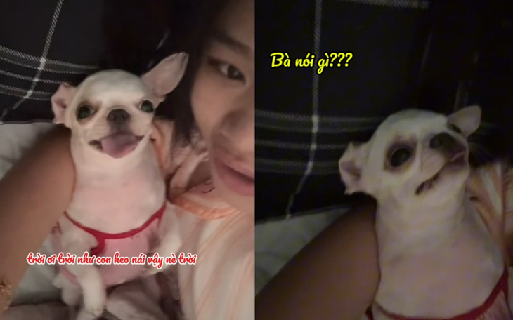  - Ảnh 2.