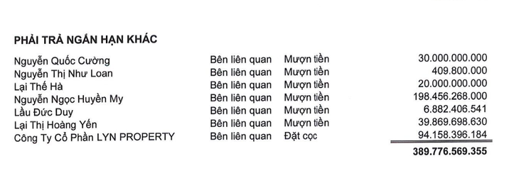 Ông Nguyễn Quốc Cường và vợ chồng em gái đang cho Quốc Cường Gia Lai mượn bao nhiêu tiền? - Ảnh 2.