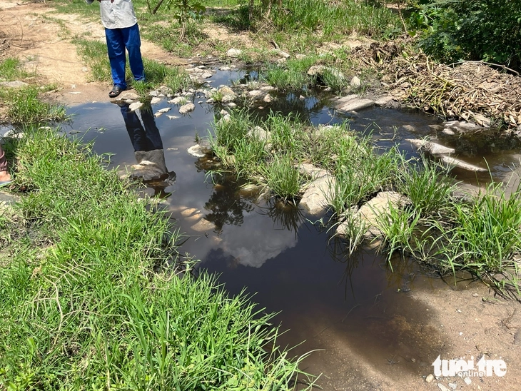 Đắk Lắk yêu cầu tạm dừng tái đàn trang trại heo từng bị Tuổi Trẻ phản ánh - Ảnh 1.