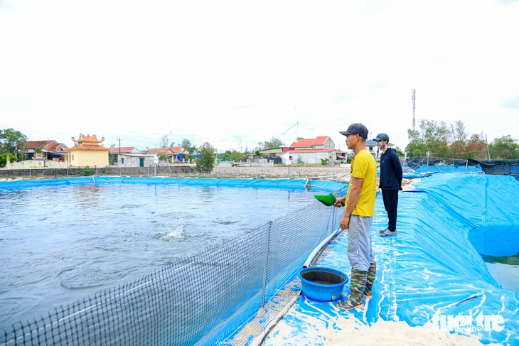 Làm ao nuôi cá lóc trên cát trắng, người dân Quảng Trị thu lãi hàng trăm triệu đồng - Ảnh 1.