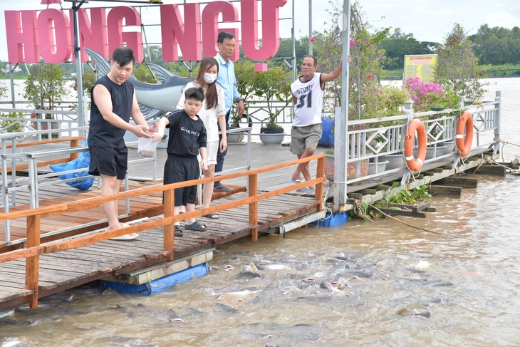 Đàn cá tự nhiên trên sông Tiền: Khi lòng dân nuôi dưỡng giấc mơ về một dòng sông trù phú - Ảnh 2.