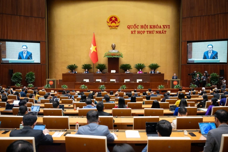 Kỳ họp không thường lệ thứ nhất của Quốc hội - Ảnh 1.