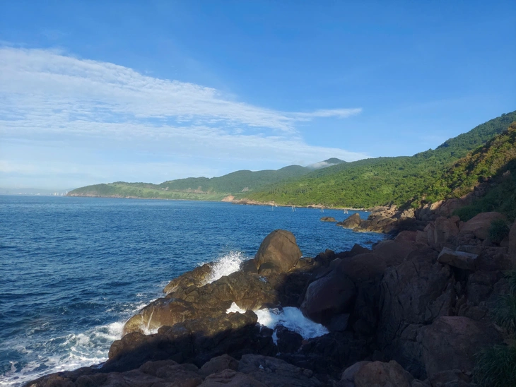 3 tuyến trekking trên núi Sơn Trà sóng cuộn trào dễ gặp nạn - Ảnh 5.