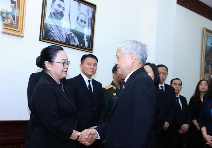 Lãnh đạo Đảng, Nhà nước viếng Chủ tịch Quốc hội Lào Xaysomphone Phomvihane - Ảnh 5.