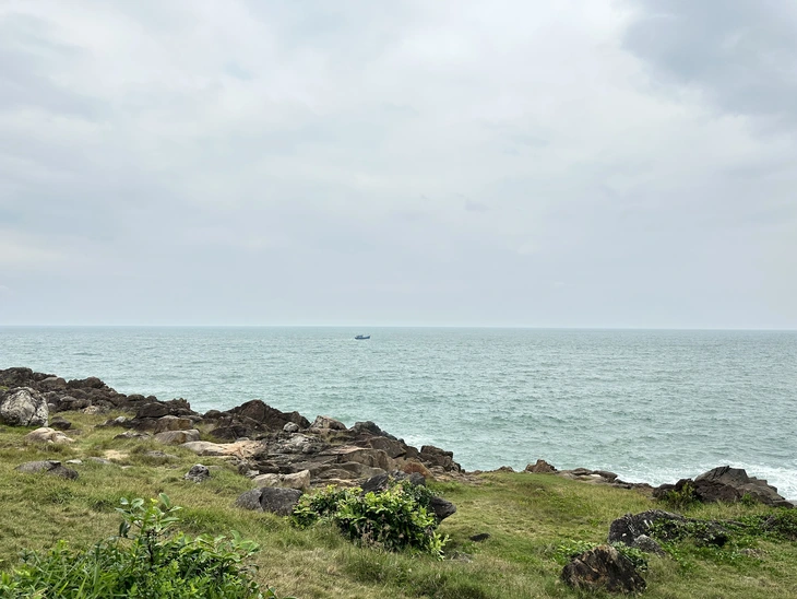 3 tuyến trekking trên núi Sơn Trà sóng cuộn trào dễ gặp nạn - Ảnh 11.