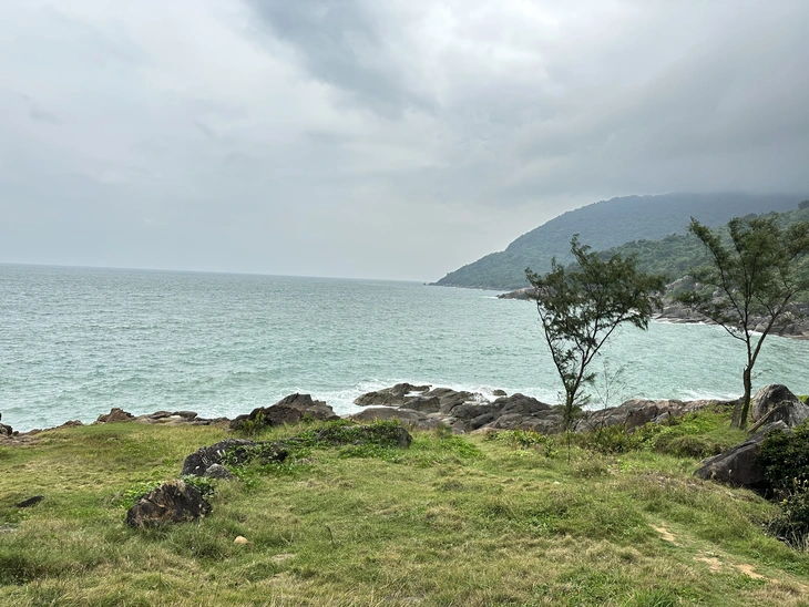3 tuyến trekking trên núi Sơn Trà sóng cuộn trào dễ gặp nạn - Ảnh 9.