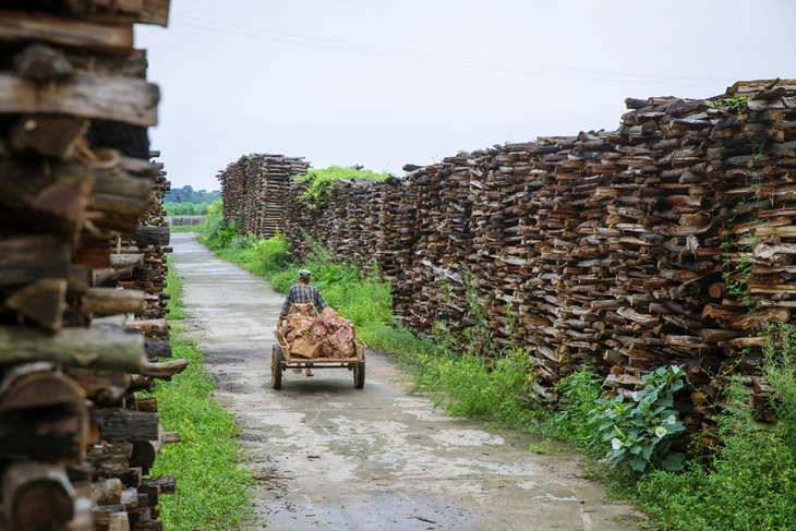 Triển lãm gốm quy mô lớn nhất cả nước tại Núi Bà Đen - Ảnh 6.