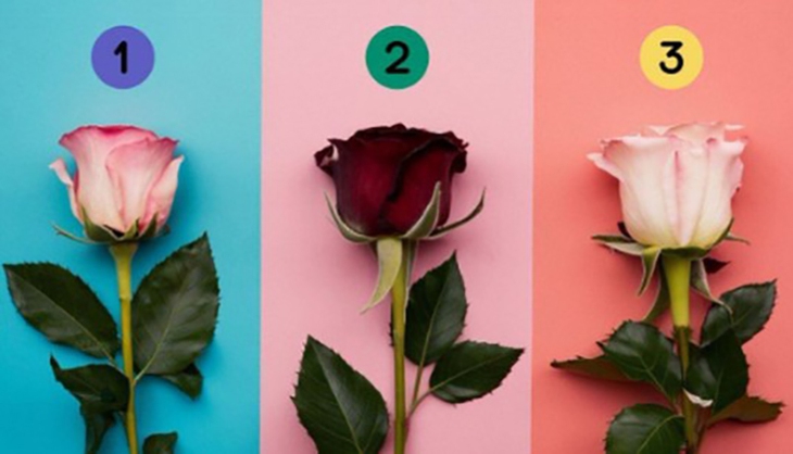 Quiz: Bạn nhường nhịn hay quyết đoán? - Ảnh 1.