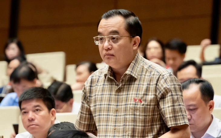 Đại biểu Quốc hội đề xuất cấm xuất cảnh lao động vi phạm pháp luật ở nước ngoài - Ảnh 2.