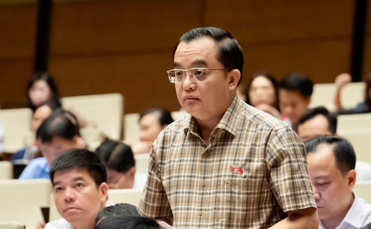 Đại biểu Quốc hội: Ba mặt một lời gặp nhau nói chuyện to nhỏ chưa chắc được, huống chi hòa giải trực tuyến - Ảnh 2.