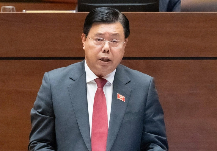 Đại biểu Quốc hội đề xuất cấm xuất cảnh với người lao động vi phạm pháp luật ở nước ngoài - Ảnh 3.
