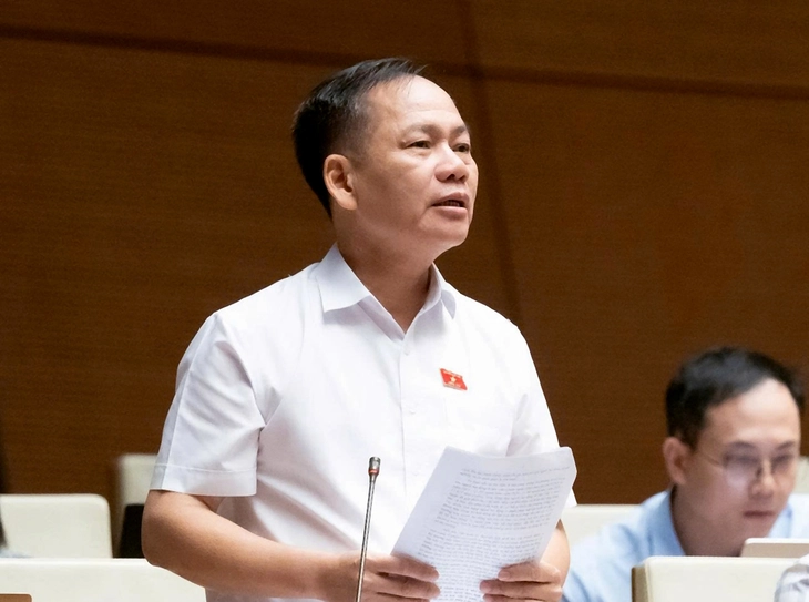 Đại biểu Quốc hội đề xuất cấm xuất cảnh với người lao động vi phạm pháp luật ở nước ngoài - Ảnh 2.