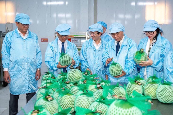  Lợi thế từ các FTA, tạo cú hích nâng kim ngạch 20 tỉ USD - Ảnh 1.