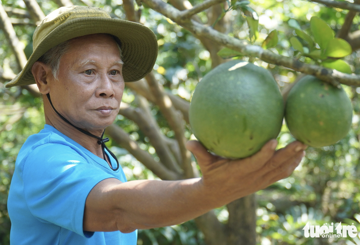 Hợp tác Việt - Úc: Thêm hàm lượng công nghệ vào nông nghiệp Việt Nam - Ảnh 1.
