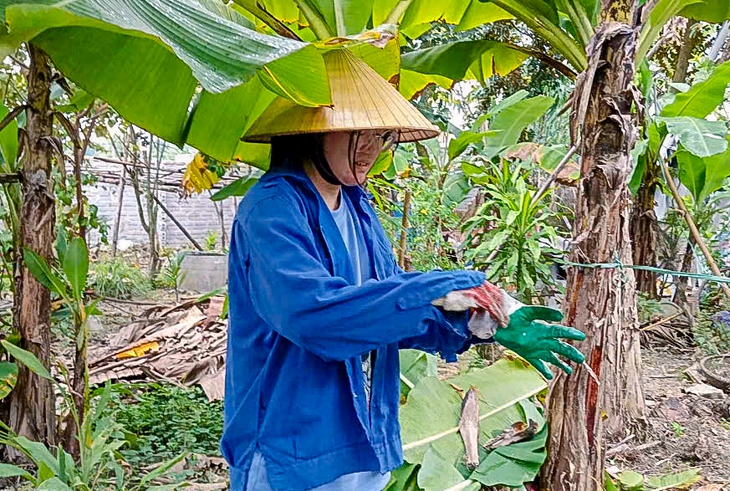 Trẻ nghỉ hè về quê bỏ điện thoại ra đồng nhổ cỏ, trồng trọt - Ảnh 2.
