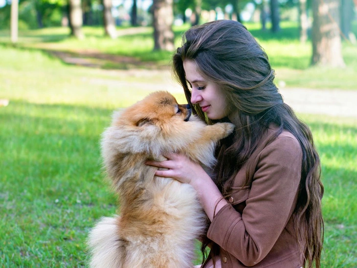 Chỉ nhìn gương mặt, chó có thể biết bạn đang buồn hay sợ - Ảnh 1.