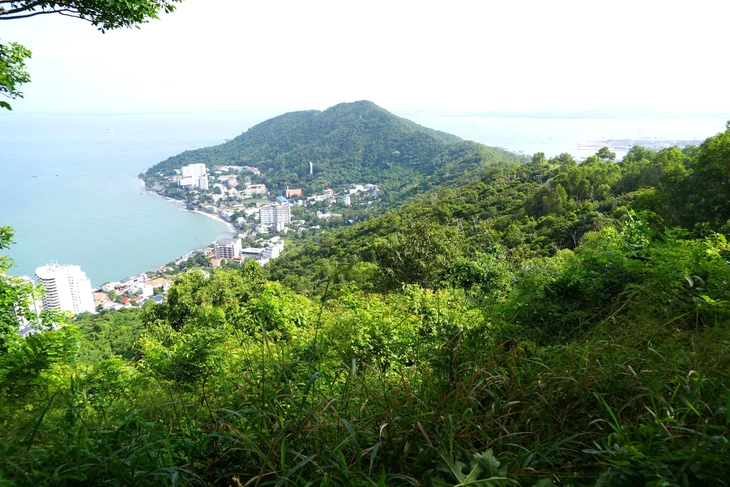 Đường băng cản lửa trên núi Lớn thành cung đường trekking hút khách ở Vũng Tàu - Ảnh 4.