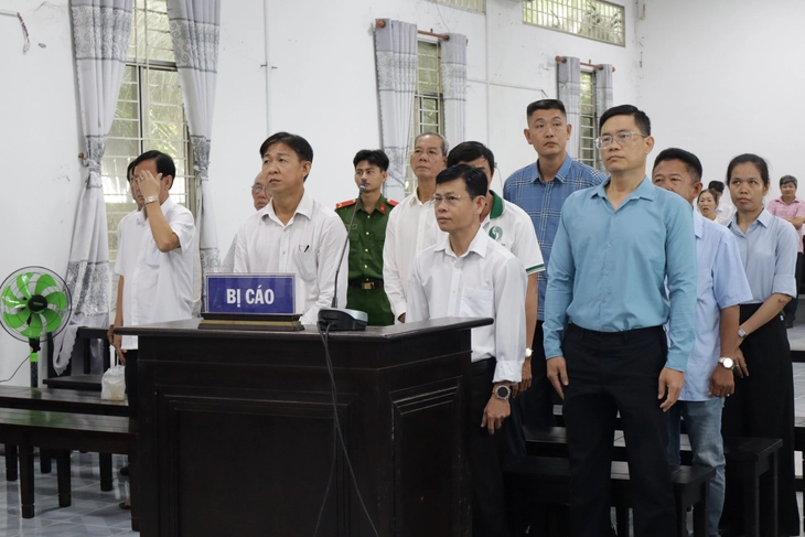 Tuyên án 11 bị cáo nguyên lãnh đạo, viên chức Công ty Phát triển hạ tầng KCN Hậu Giang - Ảnh 1.