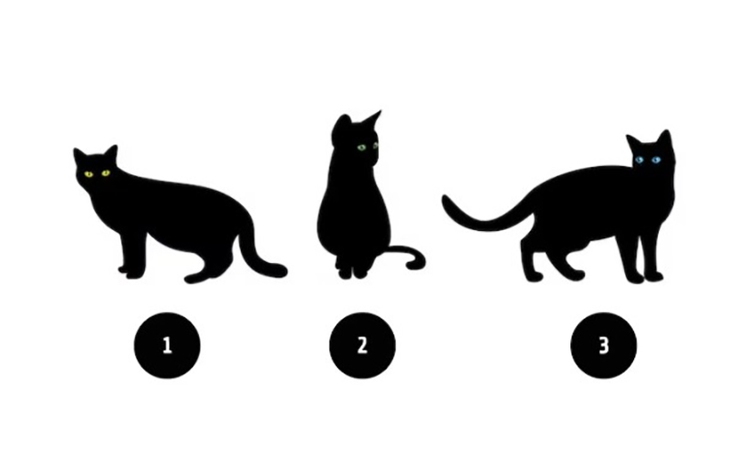 Quiz: Bạn cần thay đổi gì để cuộc sống hạnh phúc hơn? - Ảnh 1.