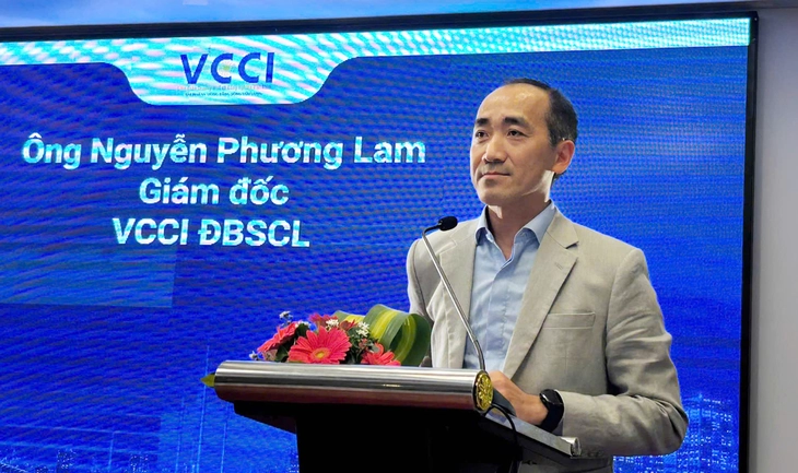 Tỉ lệ doanh nghiệp có quy mô lớn ở Đồng bằng sông Cửu Long chỉ có 0,9% - Ảnh 1.