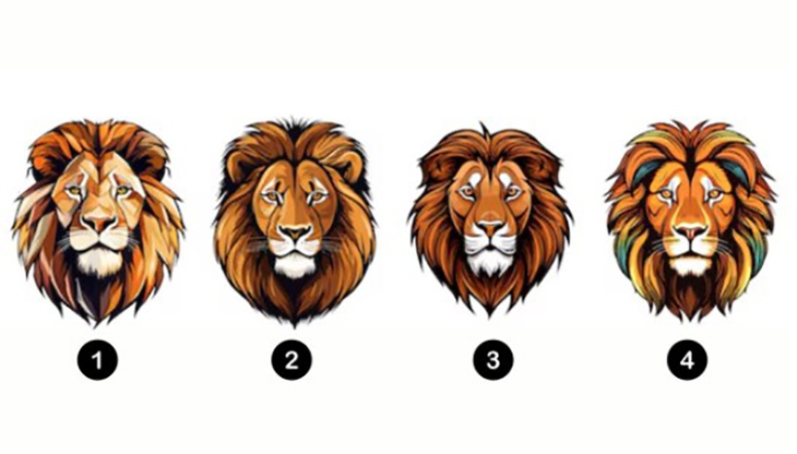 Quiz: Bạn cần làm điều gì để tránh những rủi ro trong tương lai? - Ảnh 1.