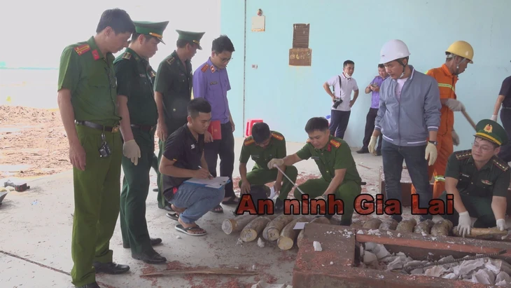 Bắt giữ gần 1,2 tấn ngà voi nhập lậu từ Châu Phi qua cảng Quy Nhơn - Ảnh 1.