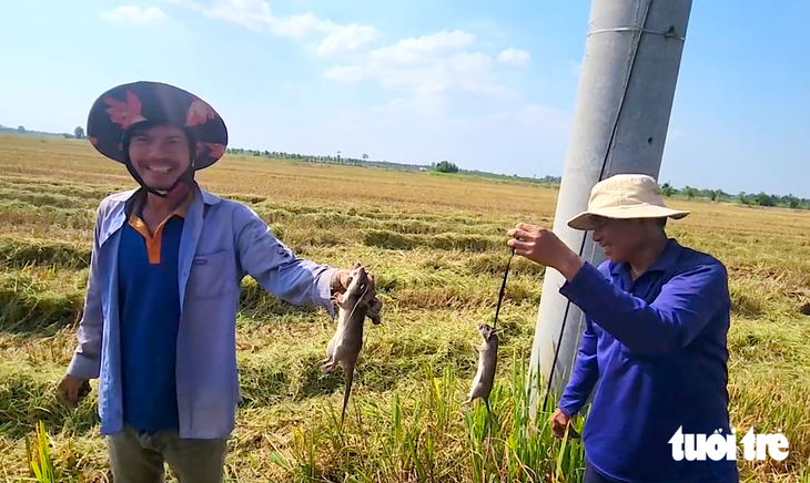 Chuột đồng miền Tây vào mùa: Chuyên gia cảnh báo nguy cơ nhiễm độc, nhiễm bệnh - Ảnh 6.
