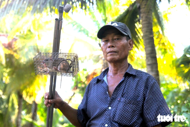 Chuột đồng miền Tây vào mùa: Chuyên gia cảnh báo nguy cơ nhiễm độc, nhiễm bệnh - Ảnh 1.