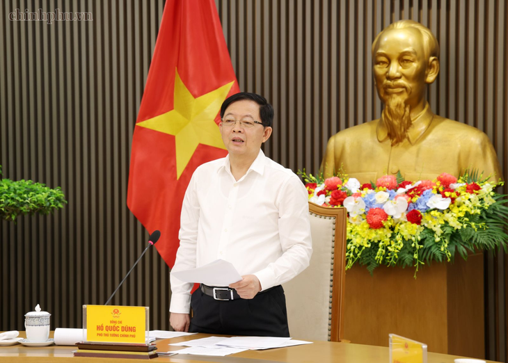 Phó thủ tướng: Không để thủ tục hành chính đã cắt giảm lại chuyển hóa thành quy định khác - Ảnh 1.