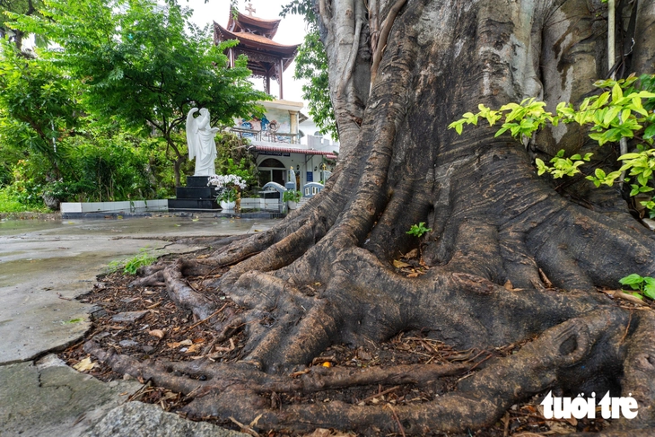 Ngỡ ngàng nhà thờ Tân Hòa mang dáng đình làng Việt - Ảnh 14.