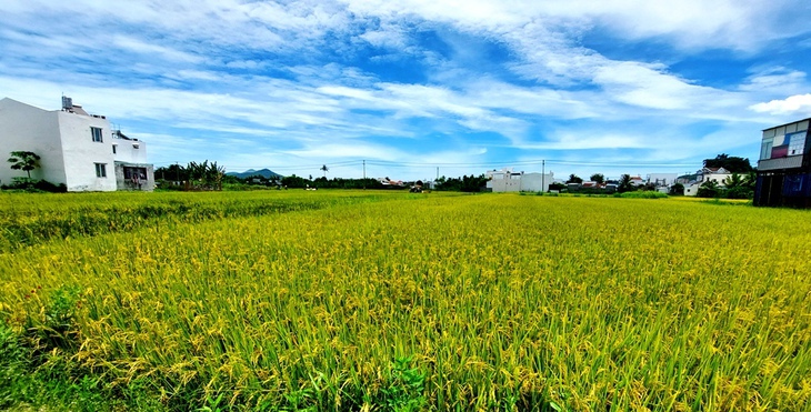 Kiểm tra ‘gấp’ tất cả trường hợp thu tiền đất bổ sung ở Khánh Hòa - Ảnh 1.
