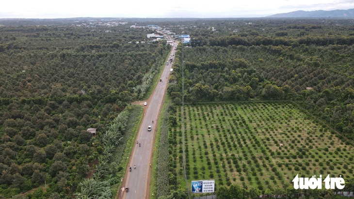 Đắk Lắk rà soát, tránh khiếu kiện đông người ở các doanh nghiệp Vinacafe - Ảnh 1.